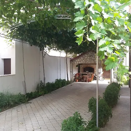 Vuk